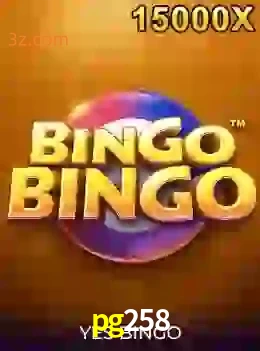 bingobingo